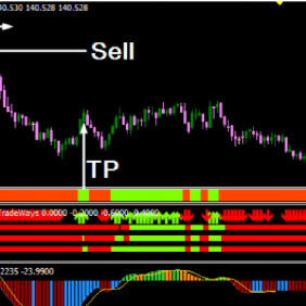 Pips Trader 方案