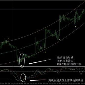 毒蛇外汇交易系统